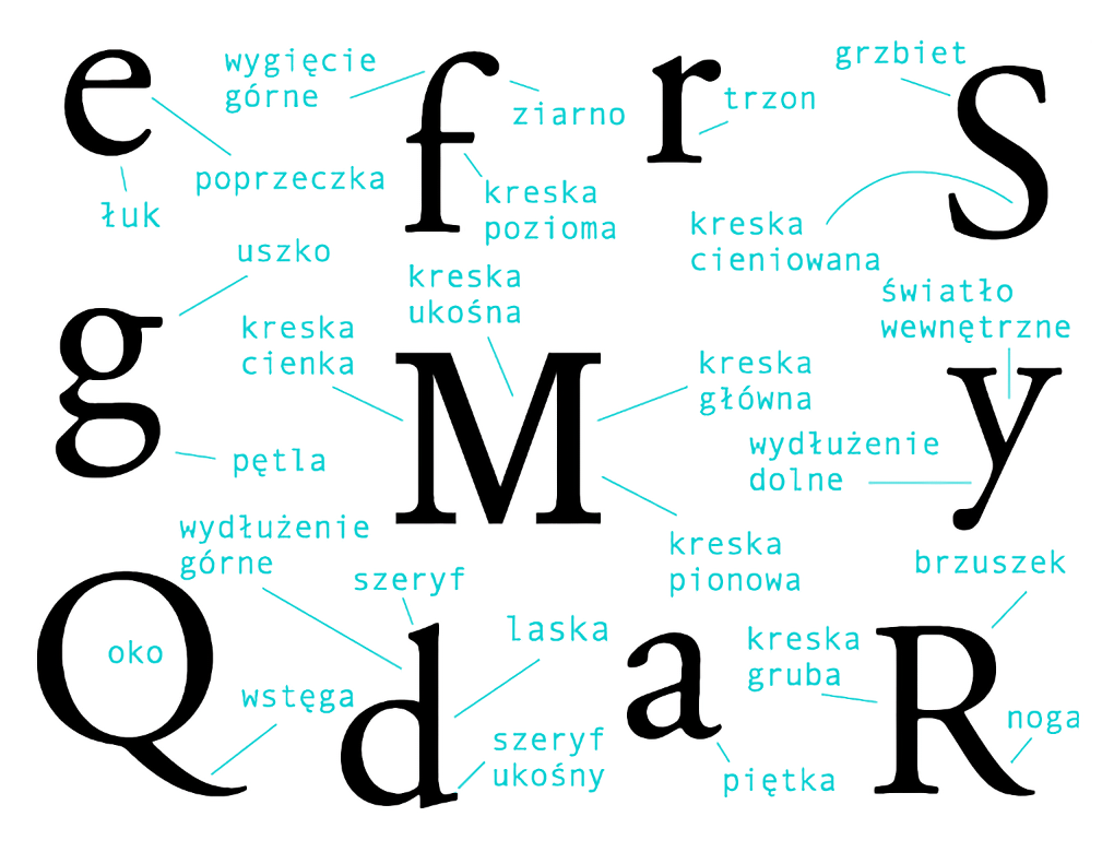 Elementy budowy liter