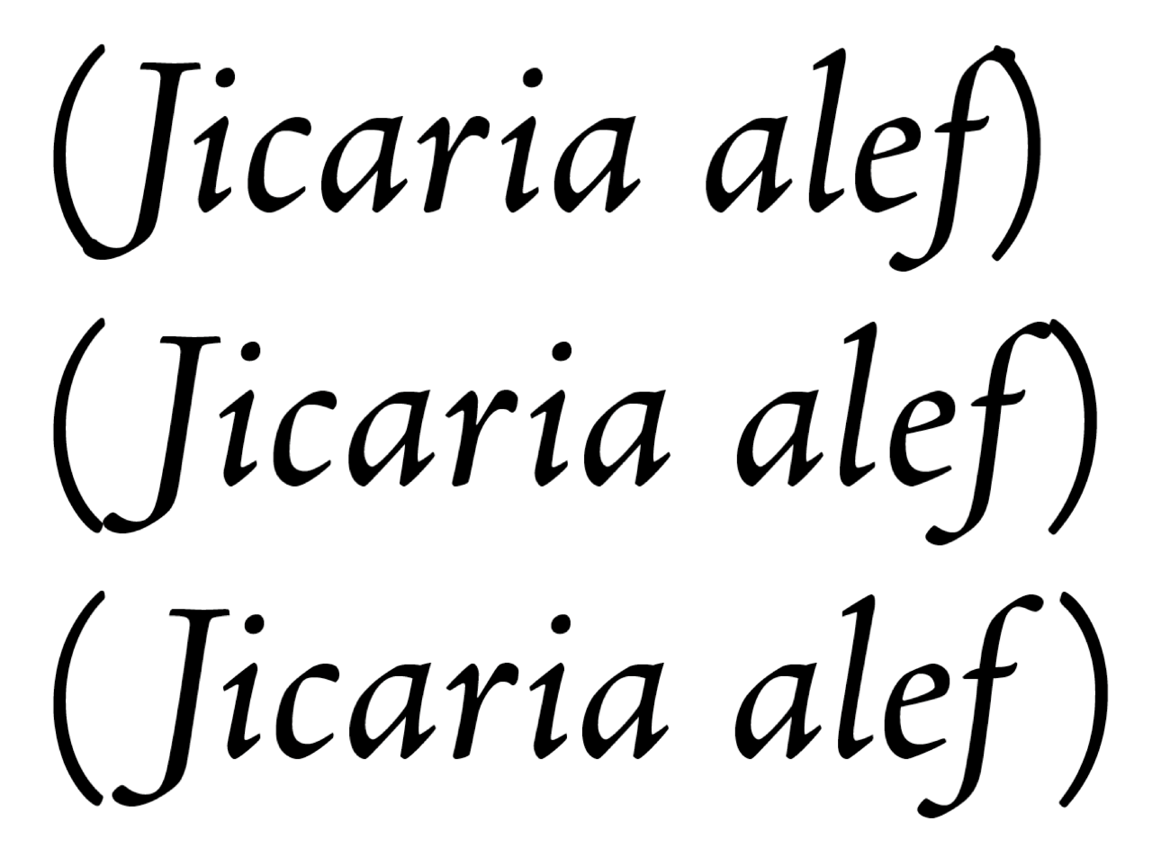 Kerning metryczny, optyczny i ręczna korekcja dla fontów z odmianą prostą i pochyloną